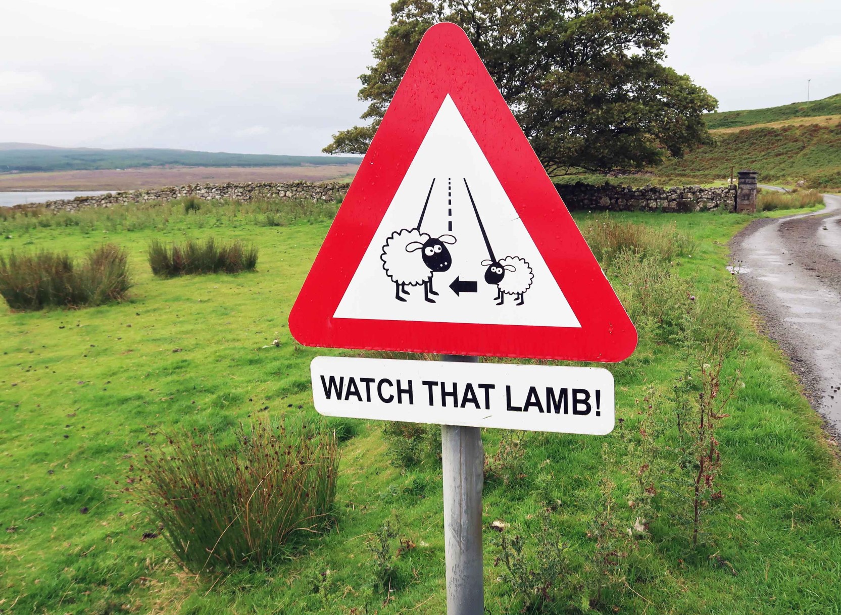 Scotland in a Nutshell