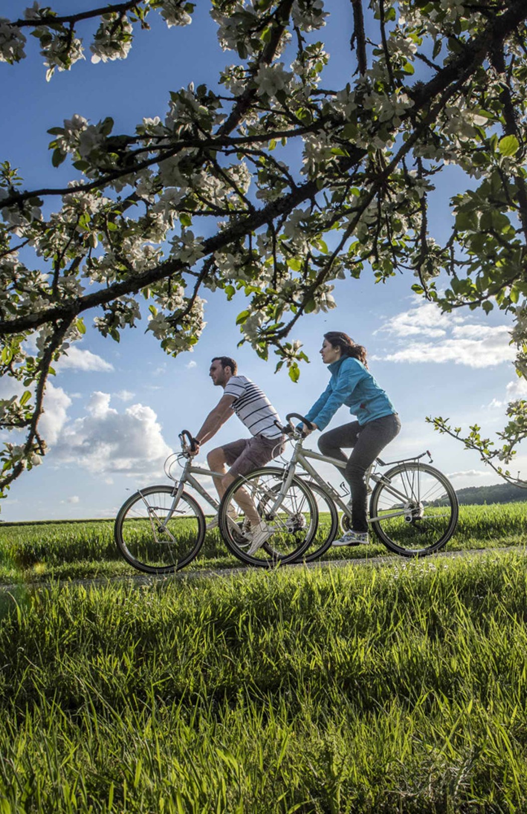 Bike & cruise through the Loire valley