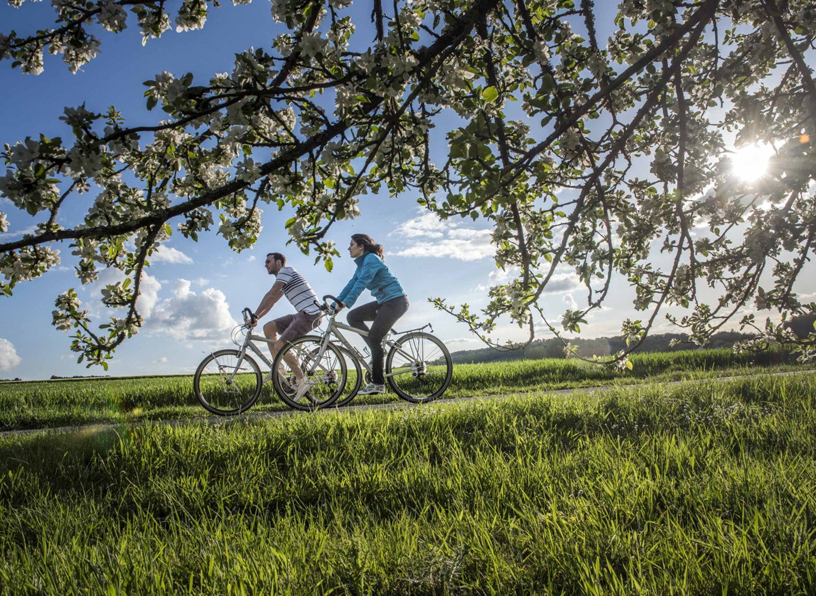 Bike & cruise through the Loire valley