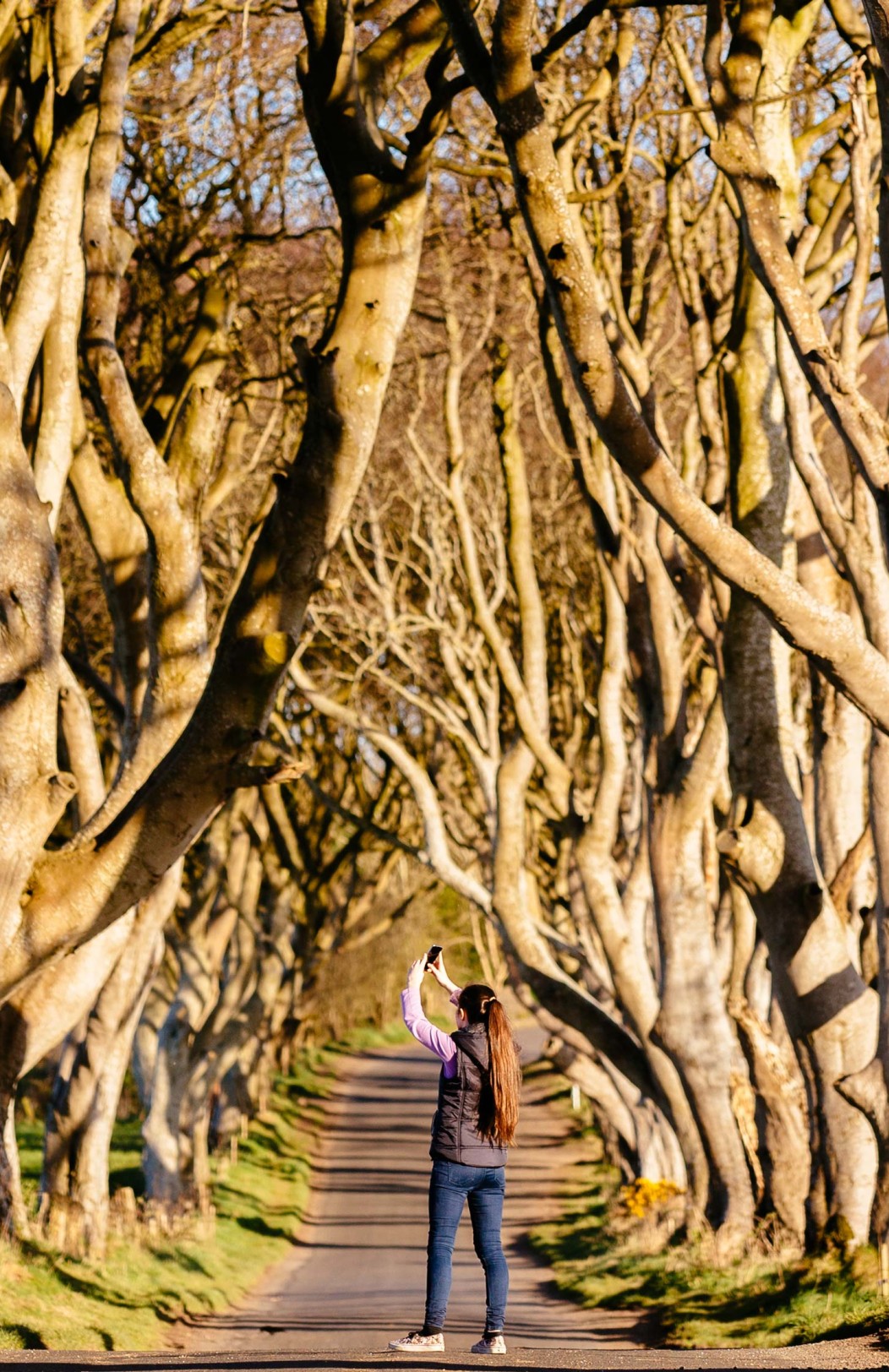 The Game of Thrones Tour