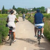 Beaune bike rental, 1 day