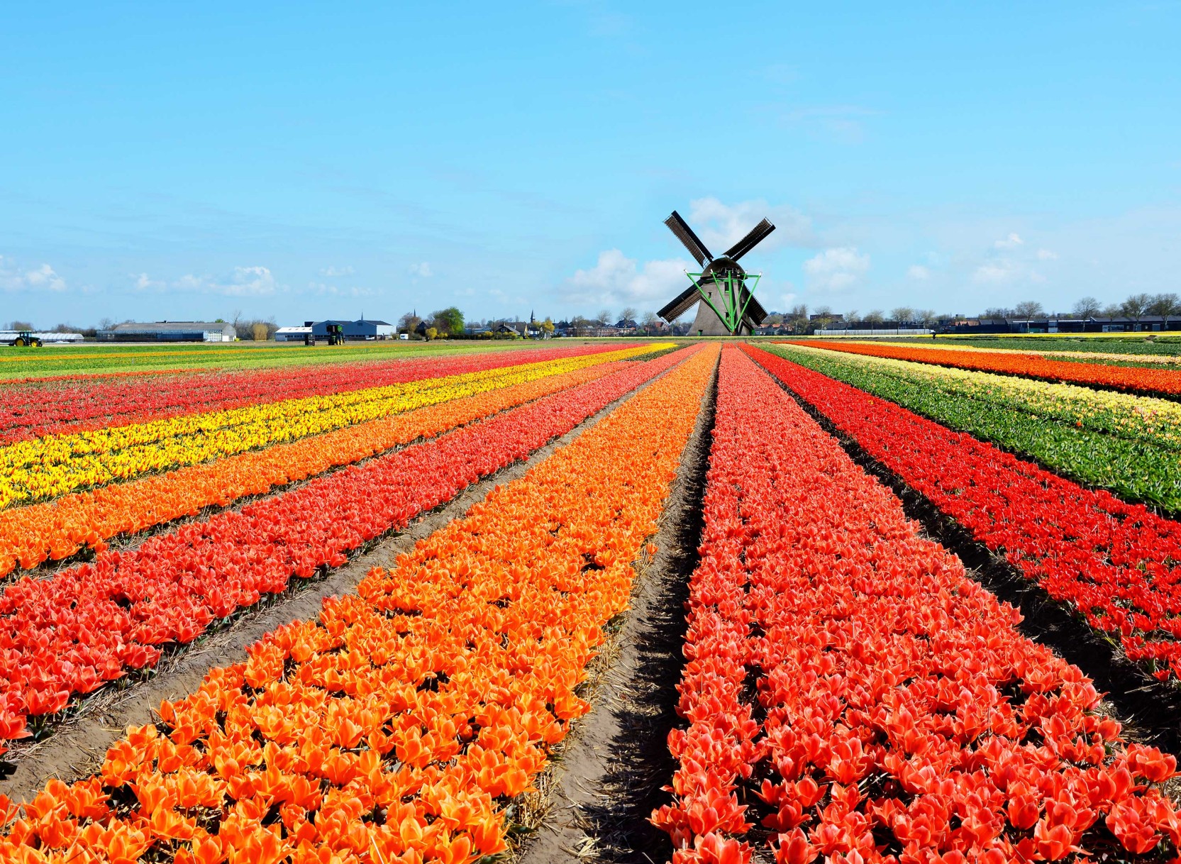Bike & cruise adventure in the Netherlands