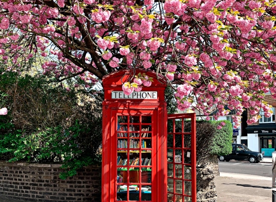 Discover London & Paris