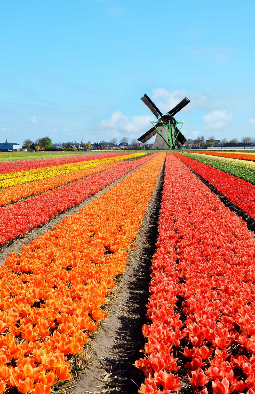 Bike & cruise adventure in the Netherlands