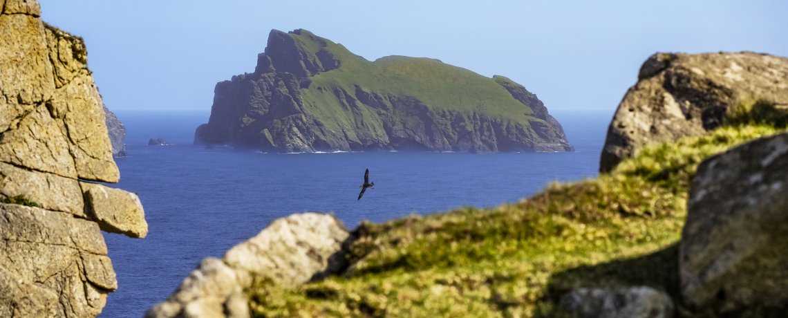 202204-0004-STKILDA-JANHVIZDAL-15043783--Photo_Jan_Hvizdal